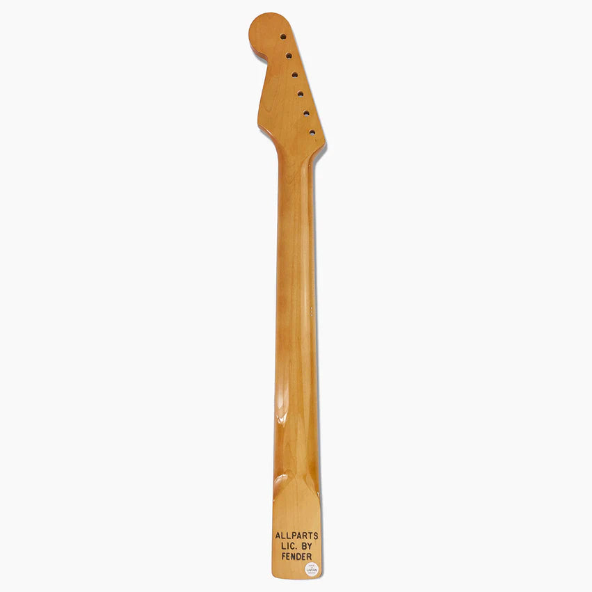 Allparts Replacement Neck for Strat, Maple with Rosewood Fingerboard, with Finish, 22 Frets, Back
