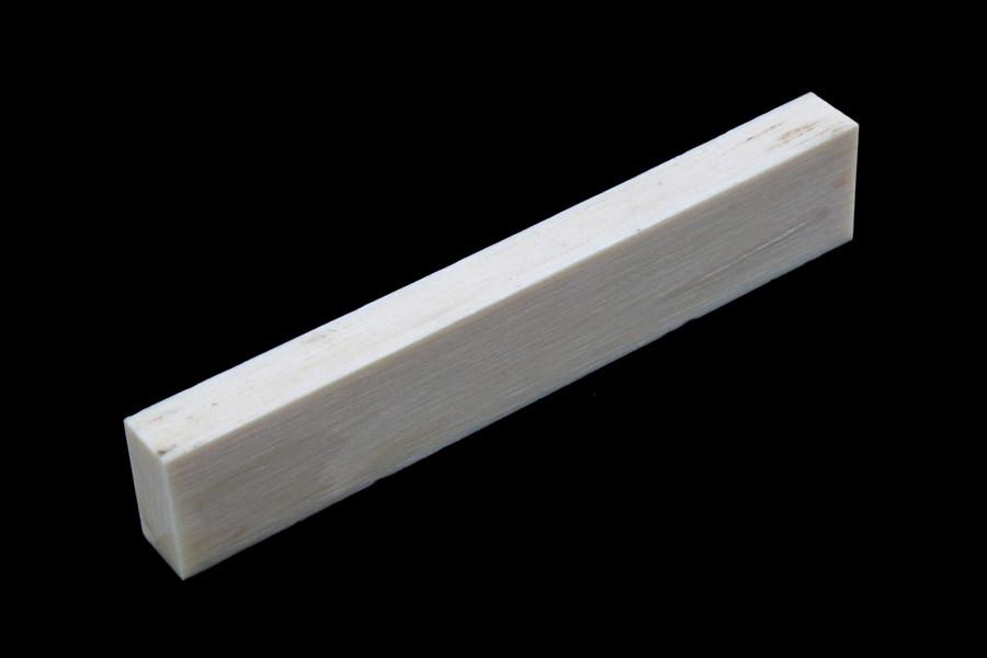 Bone nut - Woolly Mammoth ivory nut blank