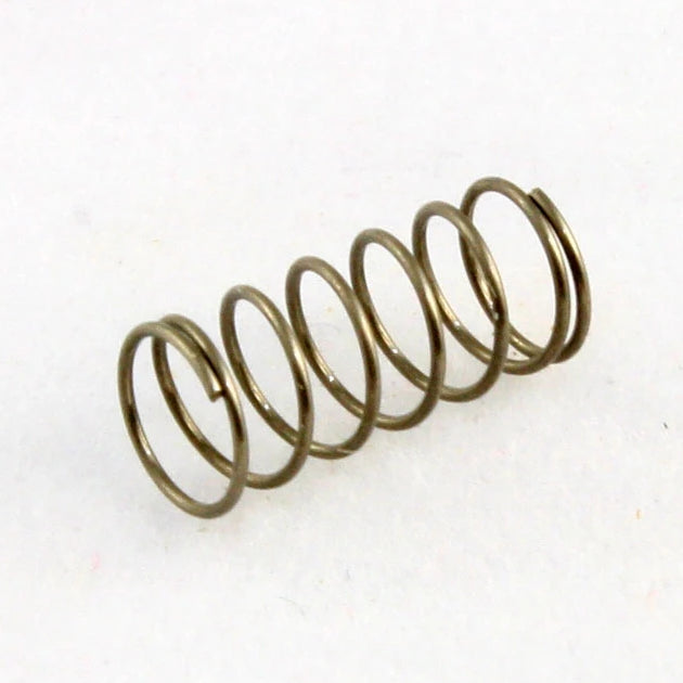 Allparts Bridge Length Spring for Guitar, Stainless Steel, 3/8" (9.5mm)