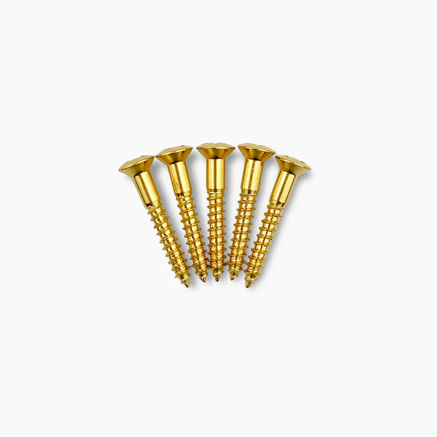 Allparts Bridge Mounting Screws for Guitar/Bass, Phillips Oval Head, #5 x 1 Long