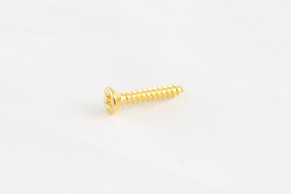 Allparts Humbucking Pickup Ring/Surround Screws, Short