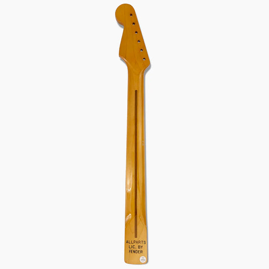 Allparts Replacement Maple Neck for Strat with Nitrocellulose Finish Topcoat, 21 Frets, 10 inch radius, Back