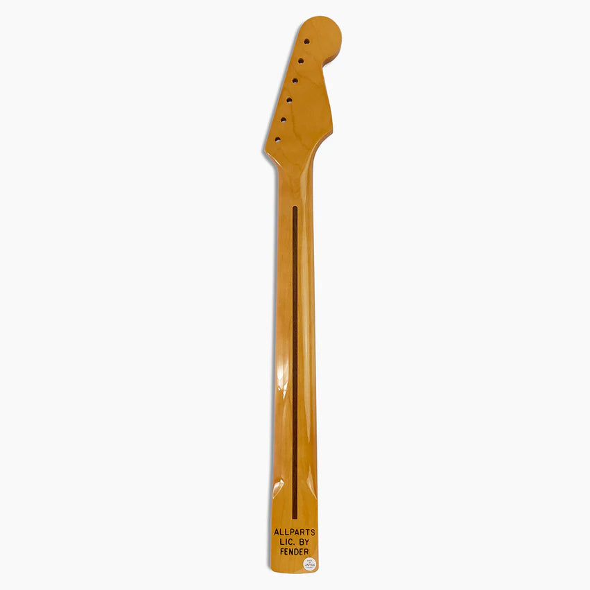 Allparts Replacement Left-Handed Maple Neck for Strat, with Finish, Back