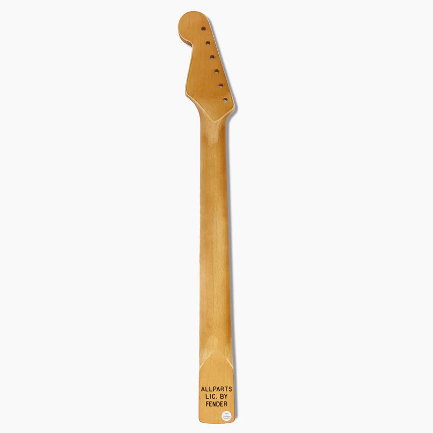Allparts Replacement Satin Finish Neck for Strat, Maple with Rosewood Fingerboard, 21 tall frets, Back