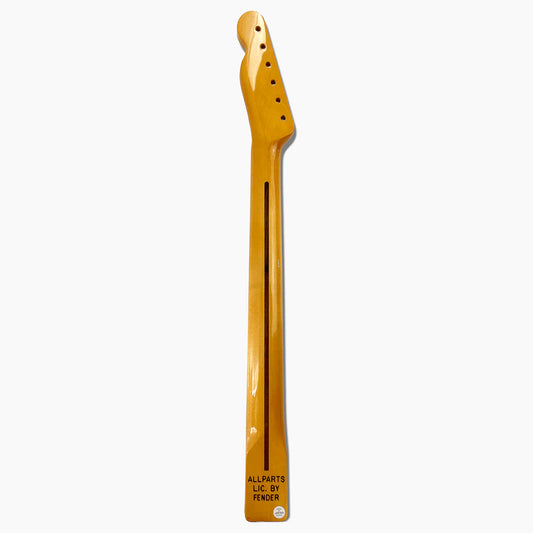 Allparts Replacement Nitro Finish Maple Neck For Tele, Nitrocellulose Finish Topcoat, 10 Inch Radius, Back