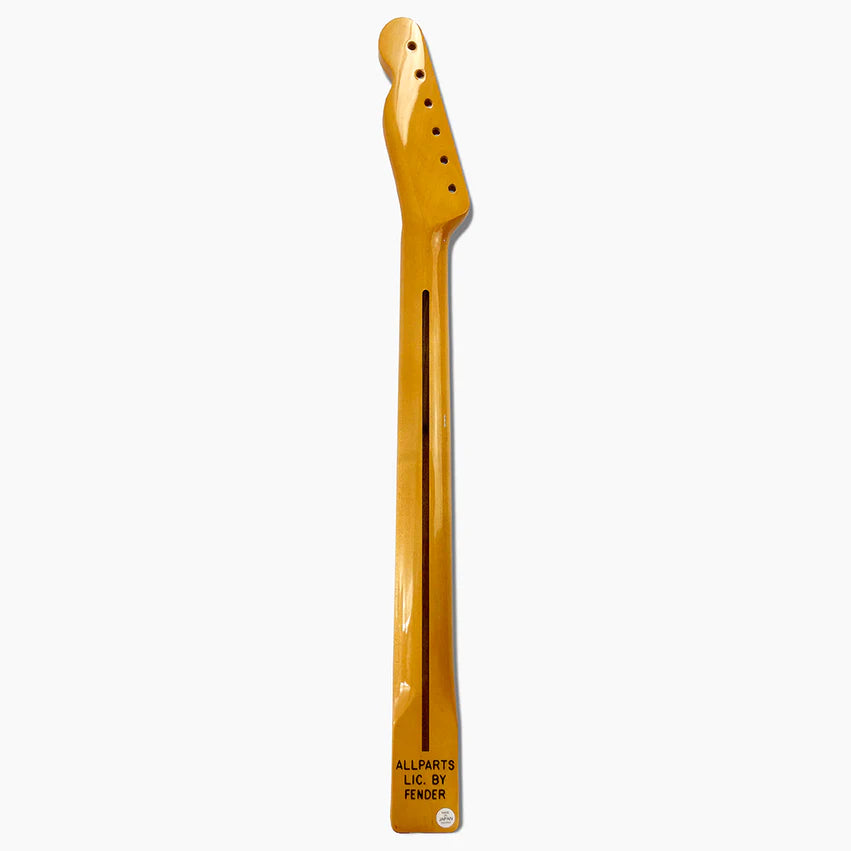 Allparts Replacement Nitro Finish Maple Neck For Tele, Nitrocellulose Finish Topcoat, 10 Inch Radius, Back