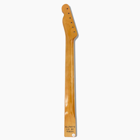 Allparts Replacement Rosewood Fingerboard Neck for Telecaster with Finish, 22 Frets, Back
