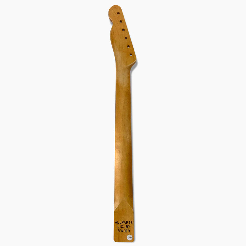 Allparts Replacement Rosewood Satin Finish Neck for Tele, 21 Tall Frets, 10 inch radius, Back