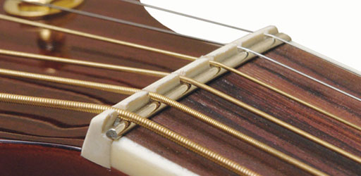 Wood Song OME Orchestra Acoustic-Electric Guitar